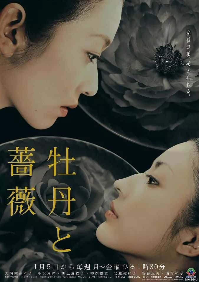 日剧《牡丹与玫瑰》-蓝光4K/1080P/720P/360P高清标清网盘百度云BT种子磁力迅雷下载