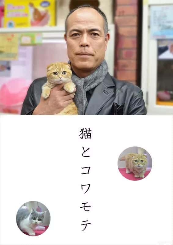 日剧《猫和凶相大叔》-蓝光4K/1080P/720P/360P高清标清网盘百度云BT种子磁力迅雷下载