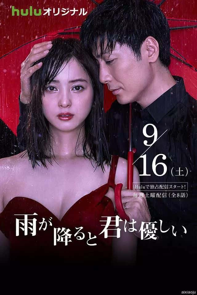 日剧《下雨时你的温柔》-蓝光4K/1080P/720P/360P高清标清网盘百度云BT种子磁力迅雷下载