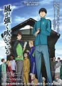 动漫剧《强风吹拂》-蓝光4K/1080P/720P/360P高清标清网盘百度云BT种子磁力迅雷下载