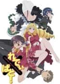 动漫剧《管家后宫学园》-蓝光4K/1080P/720P/360P高清标清网盘百度云BT种子磁力迅雷下载
