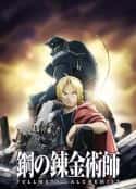 动漫剧《钢之炼金术师FA》-蓝光4K/1080P/720P/360P高清标清网盘百度云BT种子磁力迅雷下载