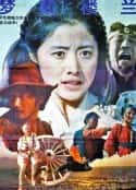 电影《梦断楼兰》-蓝光4K/1080P/720P/360P高清标清网盘百度云BT种子磁力迅雷下载