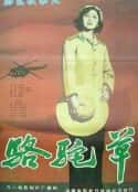 电影《骆驼草》-蓝光4K/1080P/720P/360P高清标清网盘百度云BT种子磁力迅雷下载