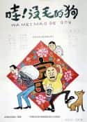 电影《哇！没毛的狗》-蓝光4K/1080P/720P/360P高清标清网盘百度云BT种子磁力迅雷下载