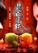 电影《我只在乎你》-蓝光4K/1080P/720P/360P高清标清网盘百度云BT种子磁力迅雷下载