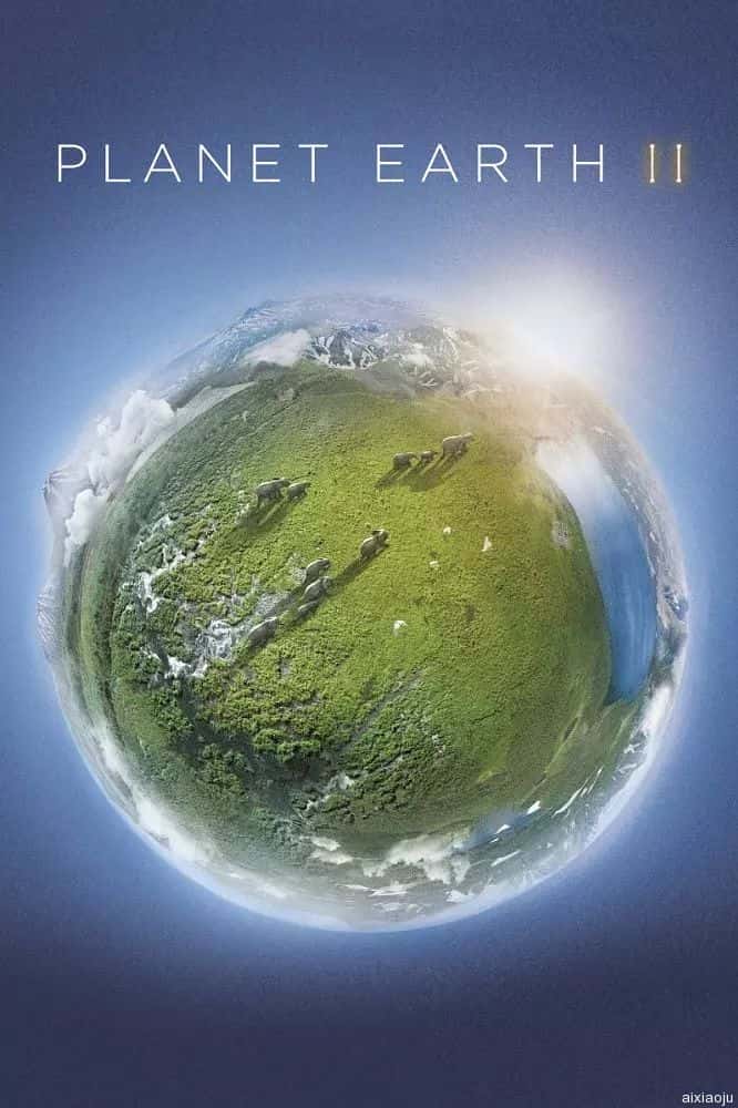 欧美电视剧《地球脉动第二季》-蓝光4K/1080P/720P/360P高清标清网盘百度云BT种子磁力迅雷下载