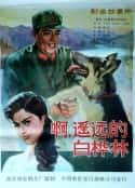 电影《白桦林中的哨所》-蓝光4K/1080P/720P/360P高清标清网盘百度云BT种子磁力迅雷下载