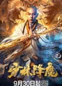 电影《少林降魔》-蓝光4K/1080P/720P/360P高清标清网盘百度云BT种子磁力迅雷下载