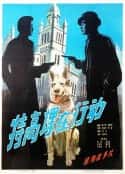 电影《特高课在行动》-蓝光4K/1080P/720P/360P高清标清网盘百度云BT种子磁力迅雷下载
