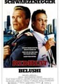 电影《红色警探》-蓝光4K/1080P/720P/360P高清标清网盘百度云BT种子磁力迅雷下载
