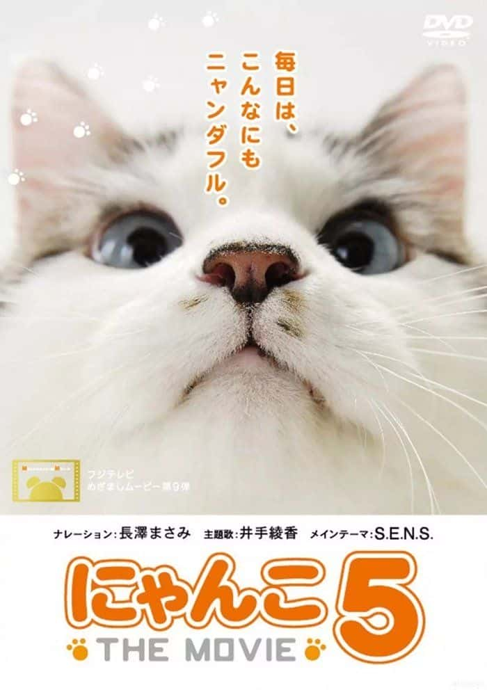 日本电影《猫咪物语 1 2 3 4 5 合集 5部全》-蓝光4K/1080P/720P/360P高清标清网盘百度云BT种子磁力迅雷下载