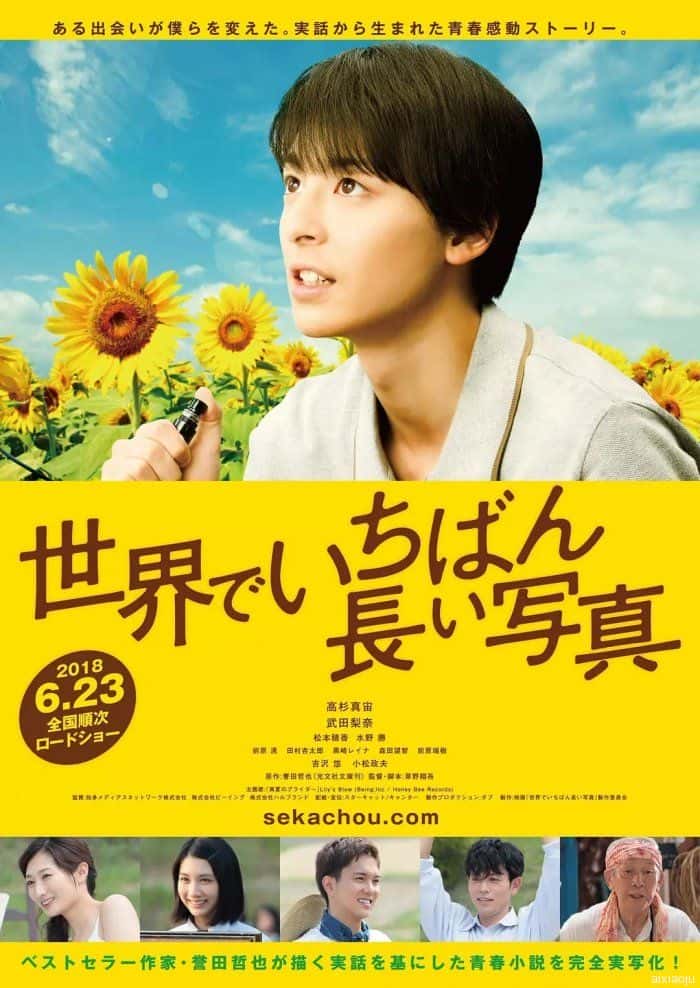 日本电影《世界上最长的照片》-蓝光4K/1080P/720P/360P高清标清网盘百度云BT种子磁力迅雷下载