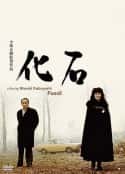 电影《化石》-蓝光4K/1080P/720P/360P高清标清网盘百度云BT种子磁力迅雷下载