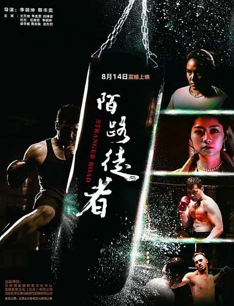 电影《陌路徒者》-蓝光4K/1080P/720P/360P高清标清网盘百度云BT种子磁力迅雷下载