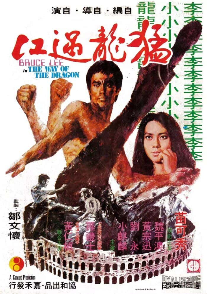 电影《猛龙过江》-蓝光4K/1080P/720P/360P高清标清网盘百度云BT种子磁力迅雷下载