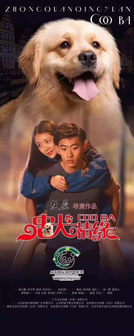 电影《忠犬情缘》-蓝光4K/1080P/720P/360P高清标清网盘百度云BT种子磁力迅雷下载