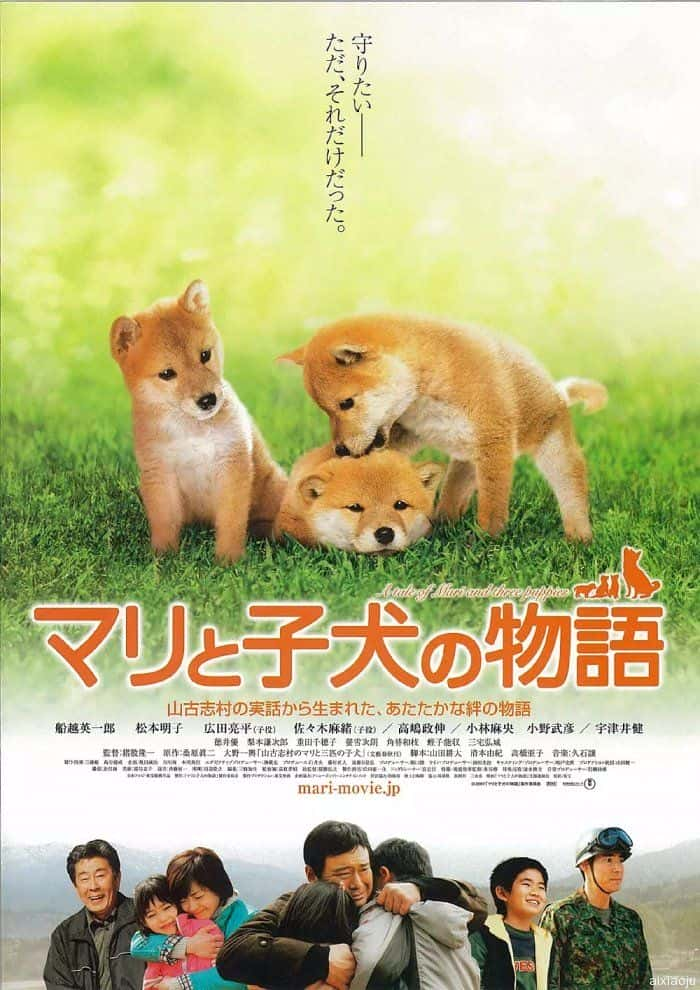 电影《爱犬的奇迹》-蓝光4K/1080P/720P/360P高清标清网盘百度云BT种子磁力迅雷下载