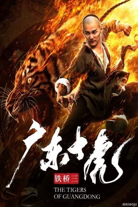 电影《广东十虎铁桥三》-蓝光4K/1080P/720P/360P高清标清网盘百度云BT种子磁力迅雷下载