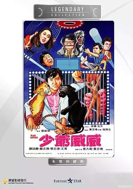 电影《少爷威威》-蓝光4K/1080P/720P/360P高清标清网盘百度云BT种子磁力迅雷下载