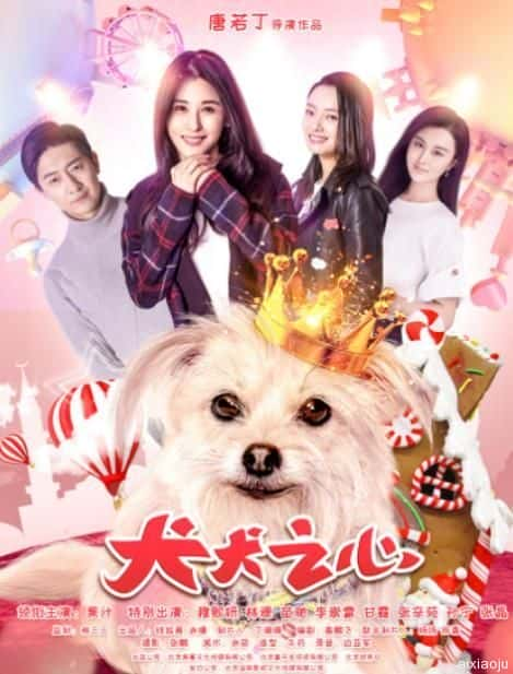 电影《犬犬之心》-蓝光4K/1080P/720P/360P高清标清网盘百度云BT种子磁力迅雷下载