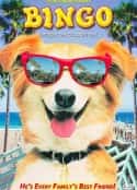 电影《灵犬宾果》-蓝光4K/1080P/720P/360P高清标清网盘百度云BT种子磁力迅雷下载