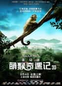 电影《亚马逊萌猴奇遇记》-蓝光4K/1080P/720P/360P高清标清网盘百度云BT种子磁力迅雷下载