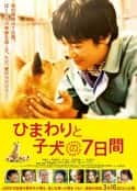 日本电影《向日葵与幼犬的7天 百度网盘 迅雷 云盘 磁力 BT种子 资源》-蓝光4K/1080P/720P/360P高清标清网盘百度云BT种子磁力迅雷下载