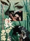 电影《黑猫 藪の中の黒猫(1968)》-蓝光4K/1080P/720P/360P高清标清网盘百度云BT种子磁力迅雷下载