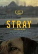 ļ¼Ƭ; Stray(2020)-Ѹ
