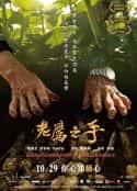 电影《老鹰之手 老鷹之手(2021)》-蓝光4K/1080P/720P/360P高清标清网盘百度云BT种子磁力迅雷下载