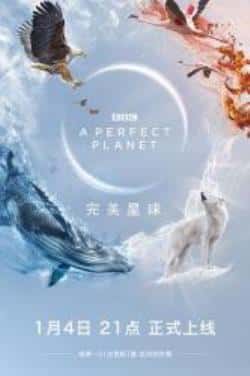 电影《完美星球》（大卫·爱登堡等主演）高清bt种子下载-蓝光4K/1080P/720P/360P高清标清网盘BT迅雷下载小众纪录片电影下载