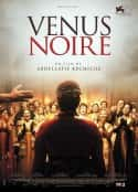 电影《黑色维纳斯 Vénus noire(2010)》-蓝光4K/1080P/720P/360P高清标清网盘百度云BT种子磁力迅雷下载