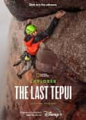 电影《探险家：最后的特普伊山 Explorer: The Last Tepui(2022)》-蓝光4K/1080P/720P/360P高清标清网盘百度云BT种子磁力迅雷下载