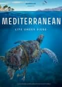 ļ¼Ƭк Mediterranean: Life Under Siege(2022)-Ѹ