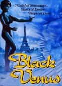 电影《欲拒还迎 Black Venus(1983)》-蓝光4K/1080P/720P/360P高清标清网盘百度云BT种子磁力迅雷下载