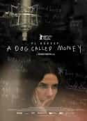 ļ¼ƬһֻǮĹ A Dog Called Money(2019)-Ѹ