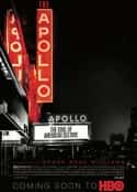 ļ¼ƬԺ The Apollo(2019)-Ѹ