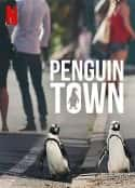 ļ¼ƬС Penguin Town(2021)-Ѹ