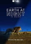 ļ¼Ƭҹɫеĵ һ Earth at Night in Color Season 1(2020)-Ѹ