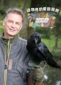 ļ¼Ƭİ˹̹ һ Chris Packham's Animal Einsteins Season 1(2021)-Ѹ