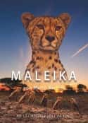 ļ¼Ƭޣ԰ Maleika(2017)-Ѹ