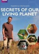 ļ¼Ƭ Secrets of Our Living Planet(2012)-Ѹ