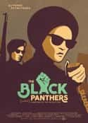 ļ¼Ƭڱȷ The Black Panthers: Vanguard of the Revolution(2015)-Ѹ