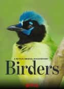 ļ¼Ƭ Birders(2019)-Ѹ