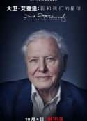 ļ¼ƬǱϵһó David Attenborough: A Life on Our Planet(2020)-Ѹ