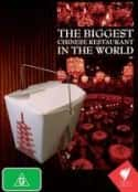 ļ¼Ƭй͹ The Biggest Chinese Restaurant in the World(2008)-Ѹ