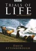 ļ¼Ƭ֮Դ The Trials of Life(1990)-Ѹ