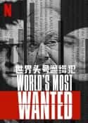 ļ¼Ƭͷͨ World's Most Wanted(2020)-Ѹ