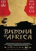 ļ¼Ƭ޷ Buddha in Africa(2019)-Ѹ